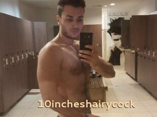 10incheshairycock
