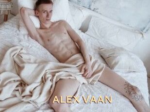 ALEX_VAAN