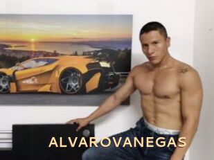 ALVAROVANEGAS