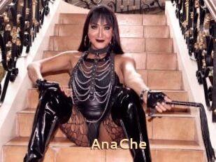 AnaChe