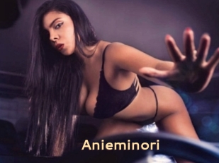Anieminori