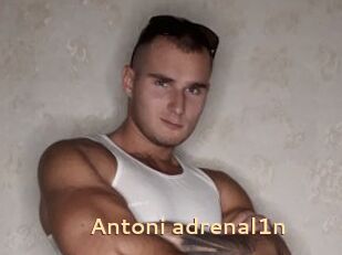 Antoni_adrenal1n