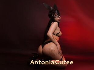 AntoniaCutee