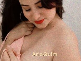 AriaQuim