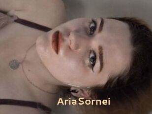AriaSornei