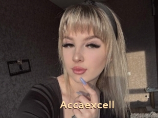 Accaexcell