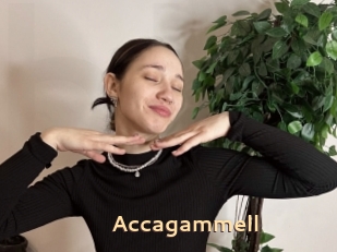 Accagammell