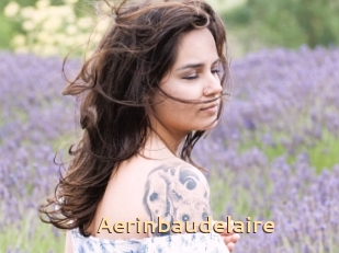 Aerinbaudelaire