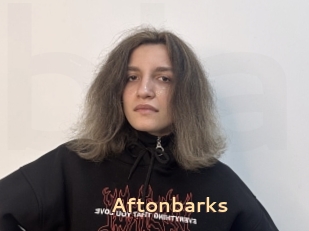 Aftonbarks
