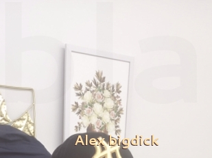 Alex_bigdick