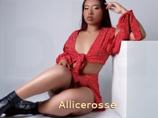Allicerosse