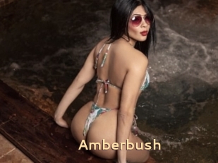 Amberbush