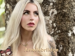 Ameliebriidge