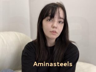 Aminasteels