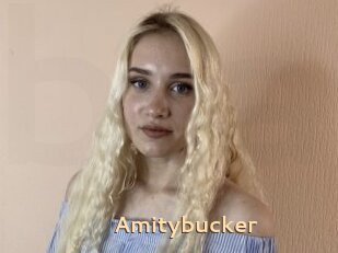 Amitybucker