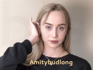 Amitybudlong