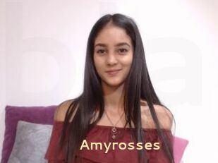 Amyrosses