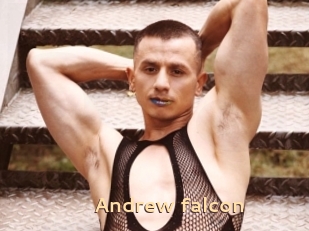 Andrew_falcon