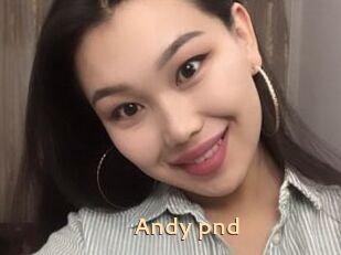 Andy_pnd