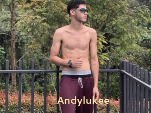 Andylukee
