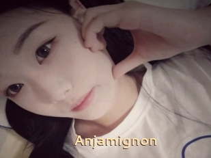 Anjamignon