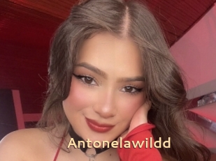 Antonelawildd