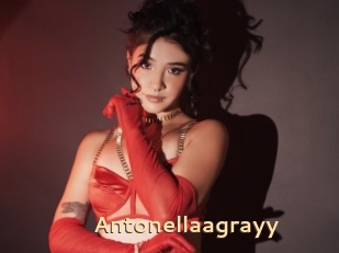 Antonellaagrayy