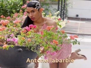 Antonellabarbie