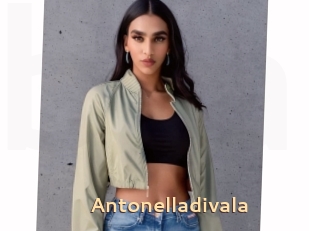 Antonelladivala
