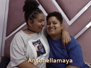 Antonellamaya