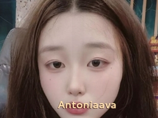 Antoniaava