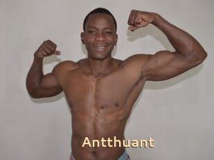 Antthuant