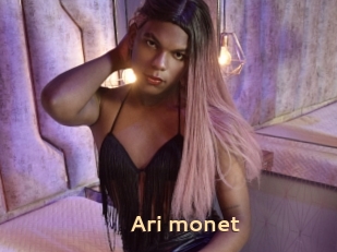 Ari_monet