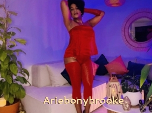 Ariebonybrooke