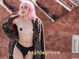 Asshleyrose