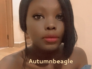 Autumnbeagle