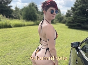 Autumnfoxie