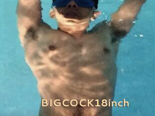BIGCOCK18inch