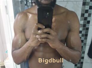 Bigdbull