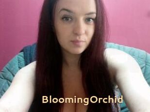 BloomingOrchid