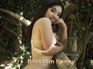 Blossom_honey