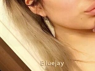 Blue_jay