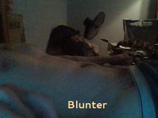 Blunter
