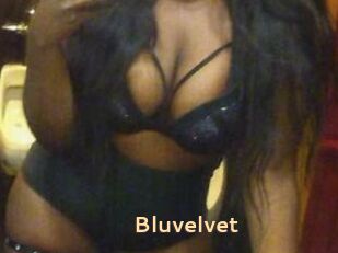 Bluvelvet