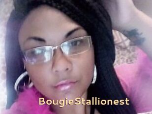 BougieStallionest