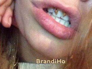 BrandiHo
