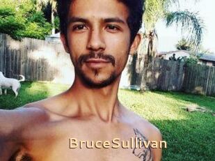 Bruce_Sullivan