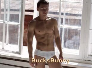 BucksBunny