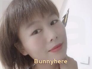 Bunnyhere