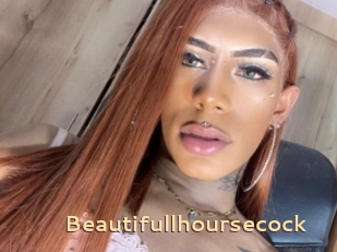 Beautifullhoursecock